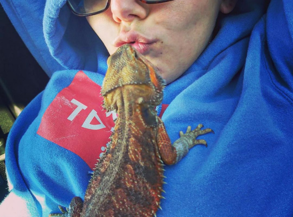 Bearded Dragons Show Affection